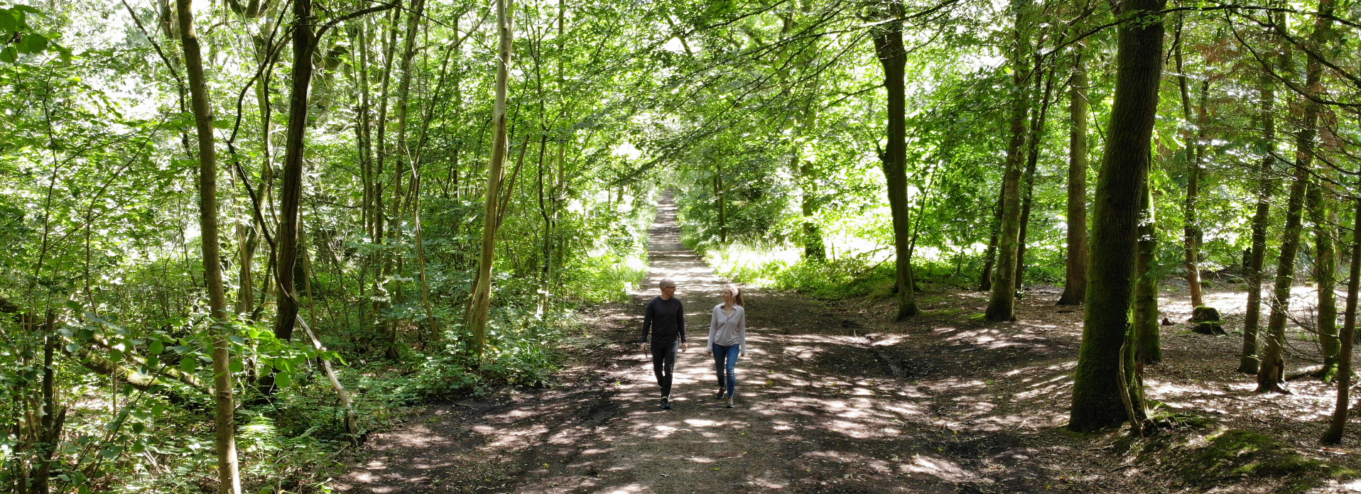 Forest walk and talk therapy